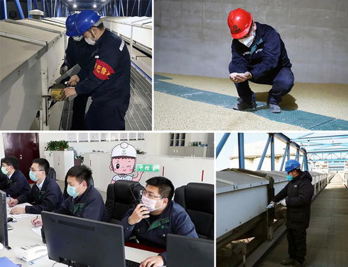 金光糧油碼頭保安巡更與家政服務一體化管理方案