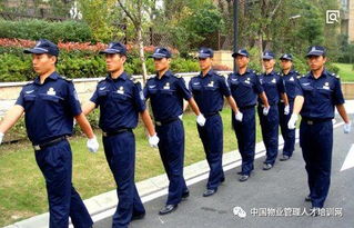 優(yōu)化社區(qū)服務 物業(yè)保安規(guī)范與家政服務的協(xié)同管理