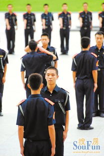 今日早報 綠城物業保安隊伍與家政服務的協同發展